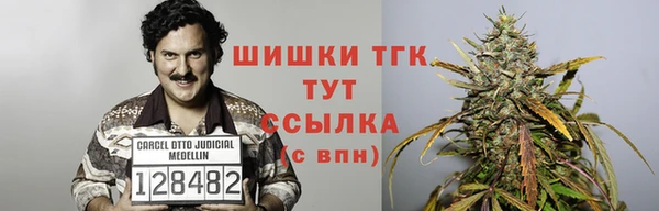 гашик Аркадак