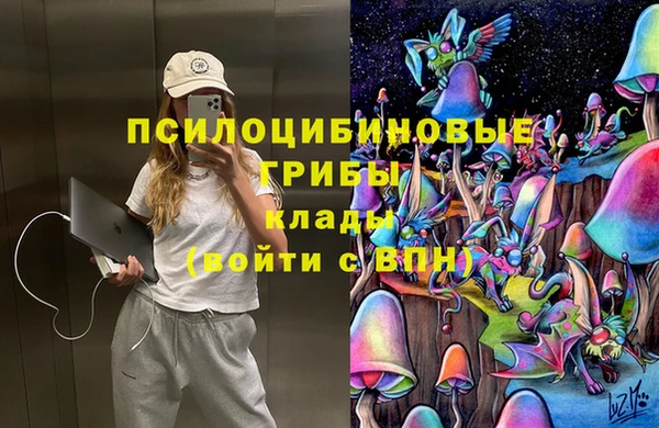 гашик Аркадак