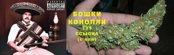 гашик Аркадак