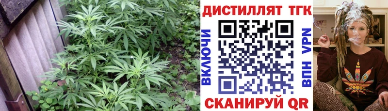 ТГК жижа  купить   MEGA онион  Краснослободск 